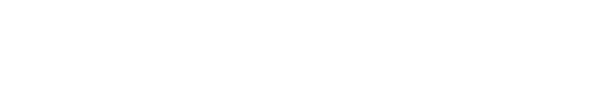 SpinTheVerb SpinTheVerb logo